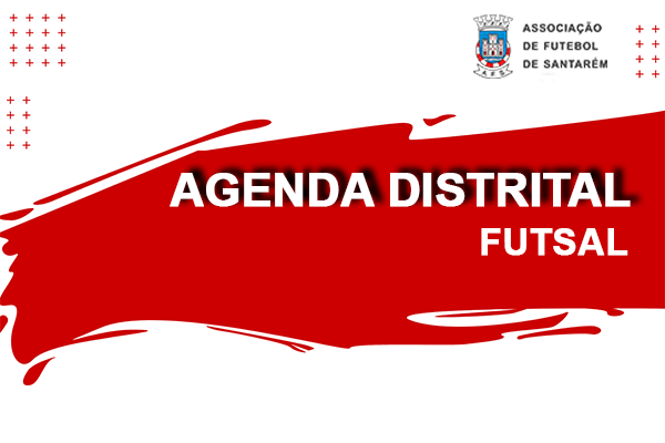 Agenda Distrital - Futsal